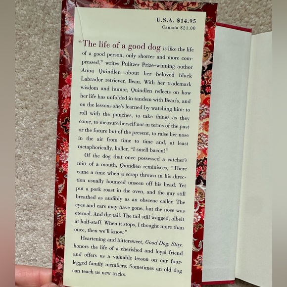 Good Dog. Stay - Book by Anna Quindlen - Picture 4 of 5